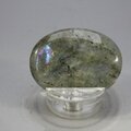 Labradorite Thumbstone(Extra Grade) ~40x30mm