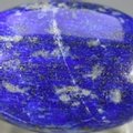 Lapis Lazuli Massage Stone  ~42 x 28mm