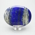 Lapis Lazuli Palmstone (Extra Grade) ~70 x 50 mm