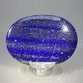 Lapis Lazuli Palmstone (Extra Grade)  ~70x50mm