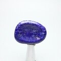 Lapis Lazuli Thumb Stone  ~44mm