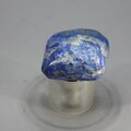Lapis Lazuli Tumblestone ~25mm