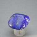 Lapis Lazuli Tumblestone ~35mm
