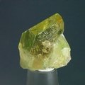 Lemon Gold Ultra Aura Quartz Healing Crystal ~38mm