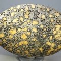 Leopard Skin Jasper Palmstone (Extra Grade) ~70x50mm