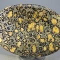 Leopard Skin Jasper Palmstone (Extra Grade) ~70x50mm