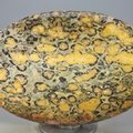 Leopard Skin Jasper Palmstone (Extra Grade) ~70x50mm