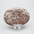 Leopard Skin Jasper Palmstone (Extra Grade) ~70x50mm