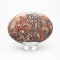 Leopard Skin Jasper Palmstone (Extra Grade) ~70x50mm