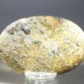 Leopard Skin Jasper Palmstone (Extra Grade) ~70x50mm