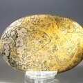 Leopard Skin Jasper Palmstone (Extra Grade) ~70x50mm