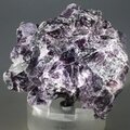 Lepidolite Mica Cluster ~59mm