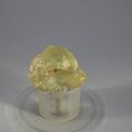 Libyan Glass Tumblestone ~23mm