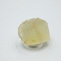 Libyan Glass Tumblestone ~30mm