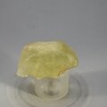 Libyan Glass Tumblestone ~30mm