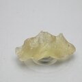 Libyan Glass Tumblestone ~42mm
