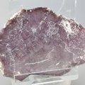 Lilac Lepidolite Mica Healing Crystal  ~66mm