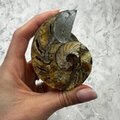 Madagascan Ammonite Fossil Pair ~8.2cm