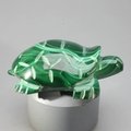 Malachite Crystal Turtle ~17X54mm