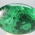 Malachite Palmstone (Extra Grade) ~70x50mm