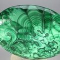 Malachite Palmstone (Extra Grade) ~70x50mm