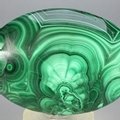 Malachite Palmstone (Extra Grade) ~70x50mm