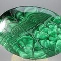 Malachite Palmstone (Extra Grade) ~70x50mm