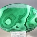 Malachite Palmstone (Extra Grade) ~70x50mm