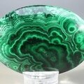 Malachite Palmstone (Extra Grade) ~70x50mm
