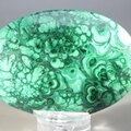 Malachite Palmstone (Extra Grade) ~70x50mm