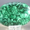 Malachite Palmstone (Extra Grade) ~70x50mm