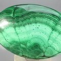 Malachite Palmstone (Extra Grade) ~70x50mm