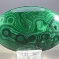 Malachite Palmstone (Extra Grade) ~70x50mm