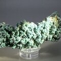 Malachite (Silver Hill, Arizona) ~100mm