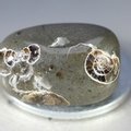Marston Marble Polished Stone ~21mm