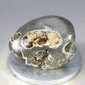 Marston Marble Polished Stone ~23mm
