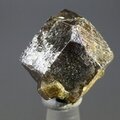 Melanite Garnet Healing Crystal ~20mm