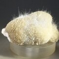 Mesolite & Thomsonite-Ca Mineral Specimen ~40mm