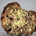 Mimetite Mineral Specimen ~85mm