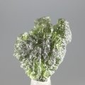 MYSTERIOUS Moldavite Healing Crystal (Collector Grade) ~25mm