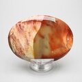 Mookaite Palmstone (Extra Grade) ~70 x 50mm