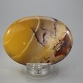 Mookaite Palmstone (Extra Grade) ~70x50mm