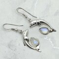 Moonstone 925 Silver Dolphin Drop Earrings ~29mm#