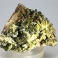 Moroccan Epidote Healing Crystal  ~60mm