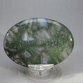 Moss Agate Palmstone (Extra Grade) ~70x50mm
