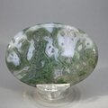Moss Agate Palmstone (Extra Grade) ~70x50mm