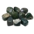 Moss Agate Tumble Stones (20-25mm)