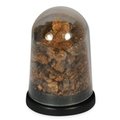 Nantan Meteorite Dust Energy Dome (Limited Edition)