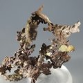 Native Copper Healing Crystal ~48mm