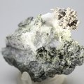 Native Silver Healing Mineral Specimen ~50mm